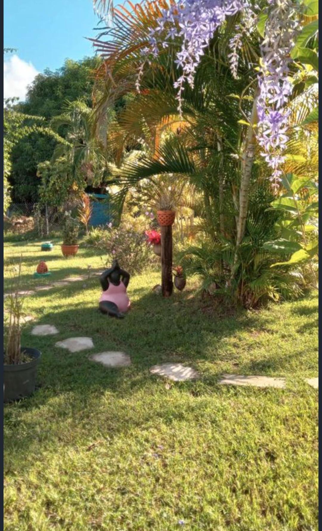 Gite Cajou Dans Jardin Tropical Ventile A Sainte-Anne Exterior photo